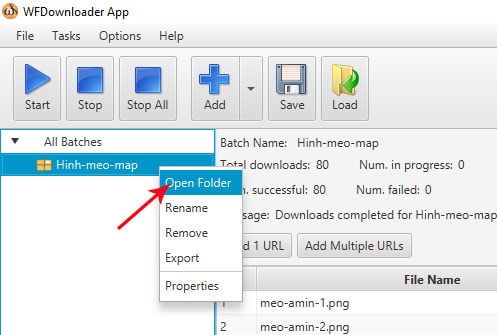 Cach Tai Hinh Anh Hang Loat Tu Link Tuong Tu Nhau 6