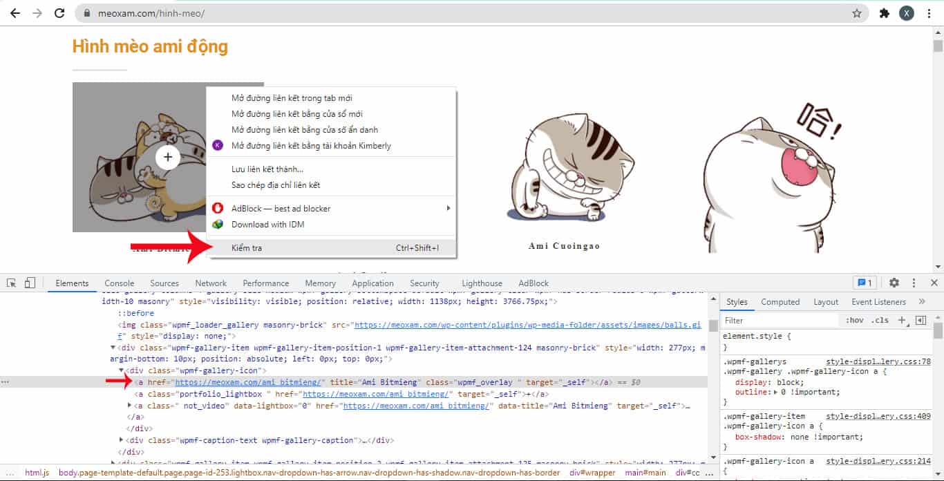 Cach Tim Url Cua Mot Hinh Anh 5